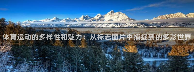 米兰体育官方正版app娱乐下载:体育运动的多样性和魅力:从标