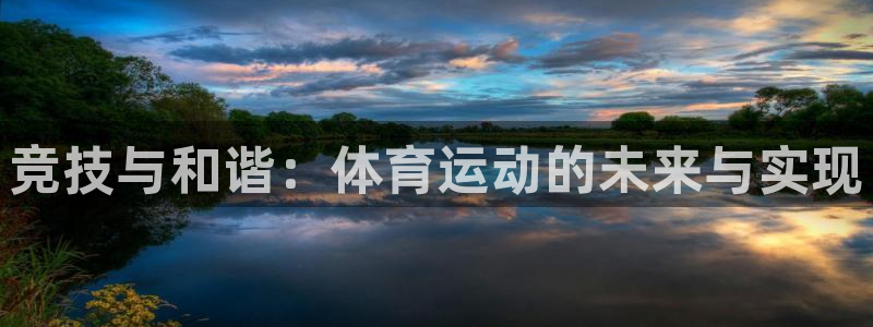 米兰体育官网下载平台假的吗是真的吗吗:竞技与和谐:体育运动的